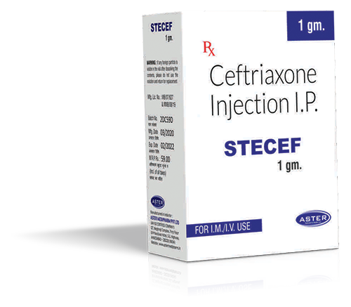 STECEF 1GM